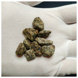 10084 - Erg Chech 002 Meteorite 16.61g Oldest Known Lava in Solar System Ung Achondrite