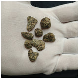 10085 - Erg Chech 002 Meteorite 10.02g Oldest Known Lava in Solar System Ung Achondrite