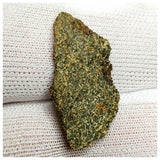 10111 - Top Rare Martian Nakhlite Meteorite "NWA 10645" (Paired) Thin Slice 1.5g