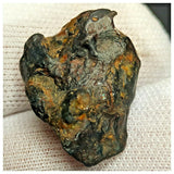 10500 - New Pallasite Meteorite "NWA 14208" (Provisional) 6.60g