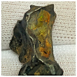 10501 - New Pallasite Meteorite "NWA 14208" (Provisional) 4.33g