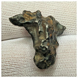 10502 - New Pallasite Meteorite "NWA 14208" (Provisional) 8.47g