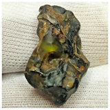 10503 - New Pallasite Meteorite "NWA 14208" (Provisional) 6.35g