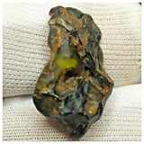 10503 - New Pallasite Meteorite "NWA 14208" (Provisional) 6.35g