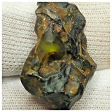 10503 - New Pallasite Meteorite "NWA 14208" (Provisional) 6.35g