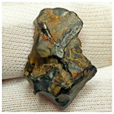 10503 - New Pallasite Meteorite "NWA 14208" (Provisional) 6.35g