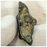 10504 - New Pallasite Meteorite "NWA 14208" (Provisional) 8.39g