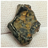 10506 - New Pallasite Meteorite "NWA 14208" (Provisional) 3.29g
