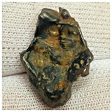 10506 - New Pallasite Meteorite "NWA 14208" (Provisional) 3.29g