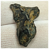 10507 - New Pallasite Meteorite "NWA 14208" (Provisional) 8.92g