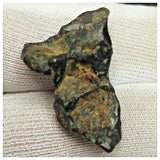 10507 - New Pallasite Meteorite "NWA 14208" (Provisional) 8.92g