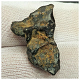 10507 - New Pallasite Meteorite "NWA 14208" (Provisional) 8.92g