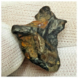 10508 - New Pallasite Meteorite "NWA 14208" (Provisional) 3.25g