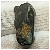 10511 - New Pallasite Meteorite "NWA 14208" (Provisional) 8.15g