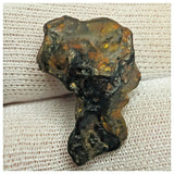 10512 - New Pallasite Meteorite "NWA 14208" (Provisional) 4.69g