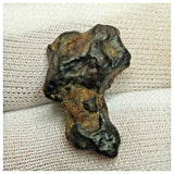 10512 - New Pallasite Meteorite "NWA 14208" (Provisional) 4.69g