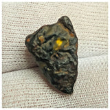 10513 - New Pallasite Meteorite "NWA 14208" (Provisional) 3.75g