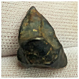 10513 - New Pallasite Meteorite "NWA 14208" (Provisional) 3.75g