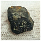 10514 - New Pallasite Meteorite "NWA 14208" (Provisional) 2.06g