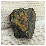 10515 - New Pallasite Meteorite "NWA 14208" (Provisional) 3.83g