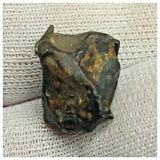 10515 - New Pallasite Meteorite "NWA 14208" (Provisional) 3.83g
