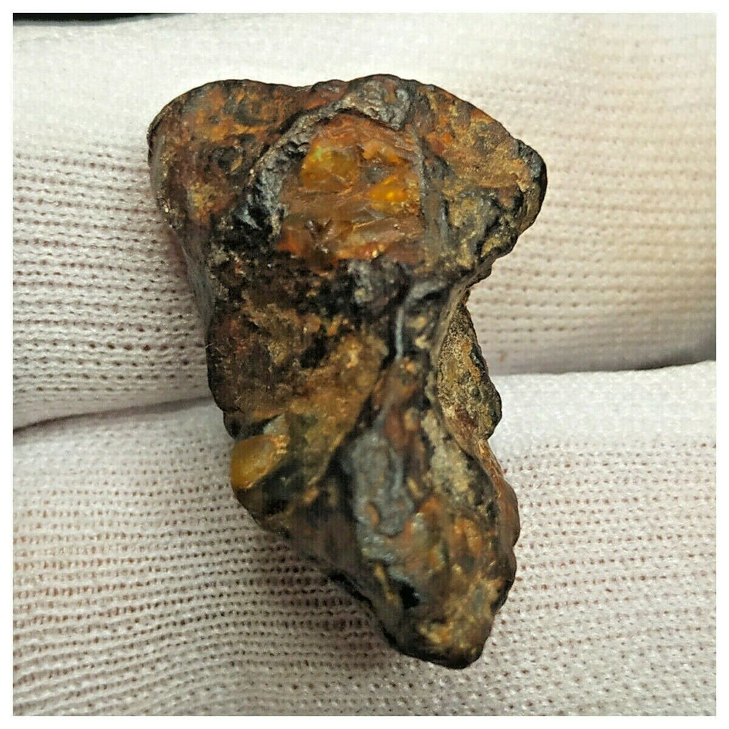 10516 - New Pallasite Meteorite "NWA 14208" (Provisional) 14.19g