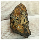10516 - New Pallasite Meteorite "NWA 14208" (Provisional) 14.19g