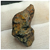 10516 - New Pallasite Meteorite "NWA 14208" (Provisional) 14.19g