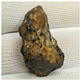 10516 - New Pallasite Meteorite "NWA 14208" (Provisional) 14.19g