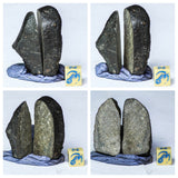 L170/R333/L67/L68/L74/L75/ 2 Ceratarges Devonian Trilobites + Chondrite Meteorites - Order Patrick