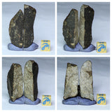 L170/R333/L67/L68/L74/L75/ 2 Ceratarges Devonian Trilobites + Chondrite Meteorites - Order Patrick