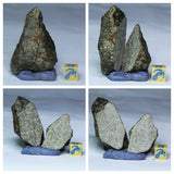 L170/R333/L67/L68/L74/L75/ 2 Ceratarges Devonian Trilobites + Chondrite Meteorites - Order Patrick