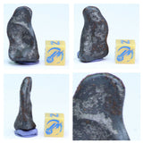 N3, N2 & N1 Complete Oriented NWA 859 TAZA Iron Plessitic Octahedrite Meteorites - ZULKARAMI Order
