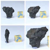 New Classification TARDA Carbonaceous Chondrite C2 Ung 2.72g Witnessed Meteorite. O'Connell Order