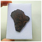 13100 A22 -  "NWA 13758" R3 Rumuruti Chondrite Meteorite 7.28g Polished Slice