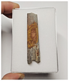 T271 - Exceedingly Rare 2.40'' Cretaceous Azhdarchid Pterosaur Dentary Bone KemKem