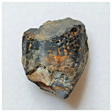 S37 - Ouranosaurus nigeriensis Basal Hadrosaur Dinosaur Tooth Cretaceous Elrhaz Fm