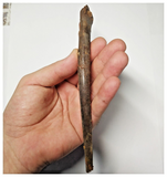 T256 - Exceedingly Rare Upper Cretaceous Azhdarchid Pterosaur Rib Bone KemKem