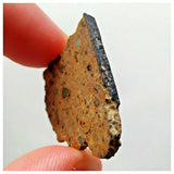 14016 A52 - Nice "NWA 13472" LL4-6 Ordinary Chondrite Meteorite 4.89g Crusted Slice