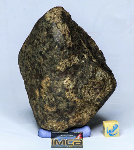 Topher Spinnato Order. Lot of ordinary chondrites meteorites