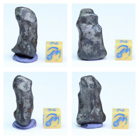N3, N2 & N1 Complete Oriented NWA 859 TAZA Iron Plessitic Octahedrite Meteorites - ZULKARAMI Order