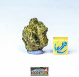 M40 - M41 - M44 - Beautiful Green Yellowish NWA 7831 Diogenite Meteorite 5.7g/6.9/7.43. Order Crystal Smith
