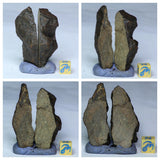L80 & L78 NWA Ordinary Chondrite Meteorites + Scyphocrinites - Cottle Order