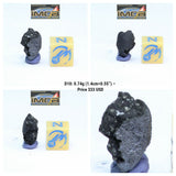 "Tarda" Carbonaceous Chondrite C2 Ungrouped. Order Takashi
