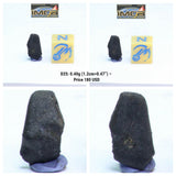 "Tarda" Carbonaceous Chondrite C2 Ungrouped. Order Takashi