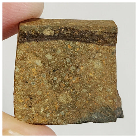 Top Rare "MEDERDRA" Rumuruti Chondrite R4-5 S2-W3 Meteorite 6.3g + 4.7g