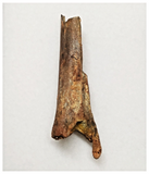 T273 - Top Rare Cretaceous Azhdarchid Pterosaur Partial Cervical Vertebra Bone