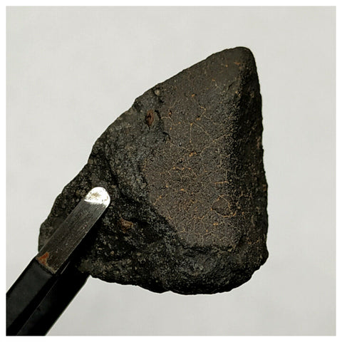 13018 M6 - New "NWA 14740" (Provisional) Carbonaceous Chondrite C3 Ung Meteorite 9.9g