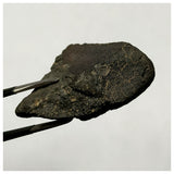 13018 M6 - New "NWA 14740" (Provisional) Carbonaceous Chondrite C3 Ung Meteorite 9.9g