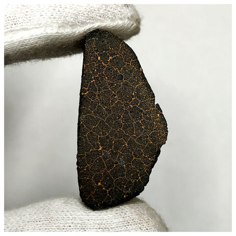 13019 M1 - New "NWA 14740" (Provisional) Carbonaceous Chondrite C3 Ung Meteorite 13.5g